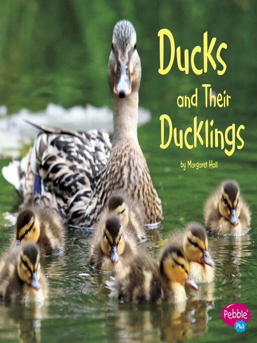 Title details for Ducks and Their Ducklings by Margaret Hall - Available